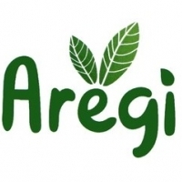 Արեգի
