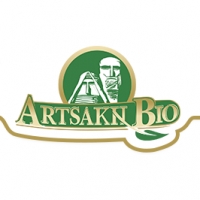 Triumph Group LLC Armenian Branch