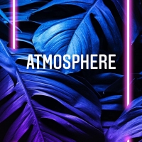 Atmosphere
