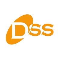 Դի Էս Սիսթեմս