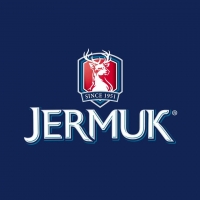 Jermuk Group