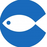Nemo Group