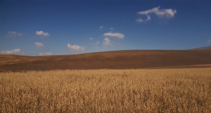 Սիզավետի Միջնակարգ Դպրոց
