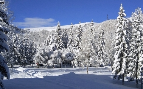 Зимний отдых в Джермуке!